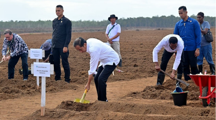 Tanam Tebu Perdana di Merauke Presiden Pemerintah Fokus Kembangkan Ketahanan Pangan Pemerintah Fokus Kembangkan Ketahanan Pangan