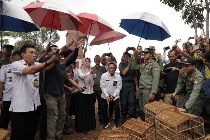 img-20240710-wa00318387848626491003566 Ribuan Burung Hasil Sitaan Dilepasliarkan di Tahura Mandiangin