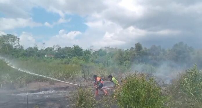 karhutla beruntun di desa sungai batang Desa Sungai Batang