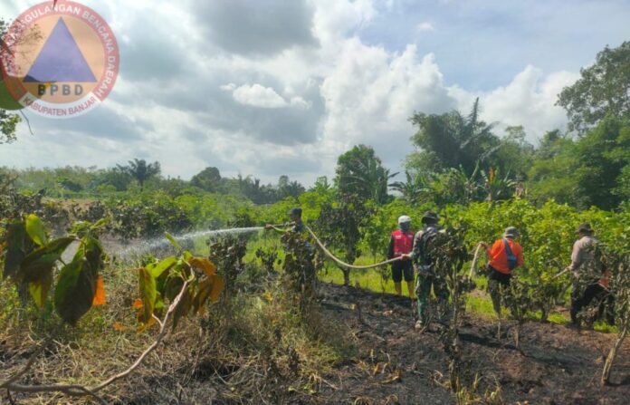 kebun bunga di Mali Mali dilahap karhuta