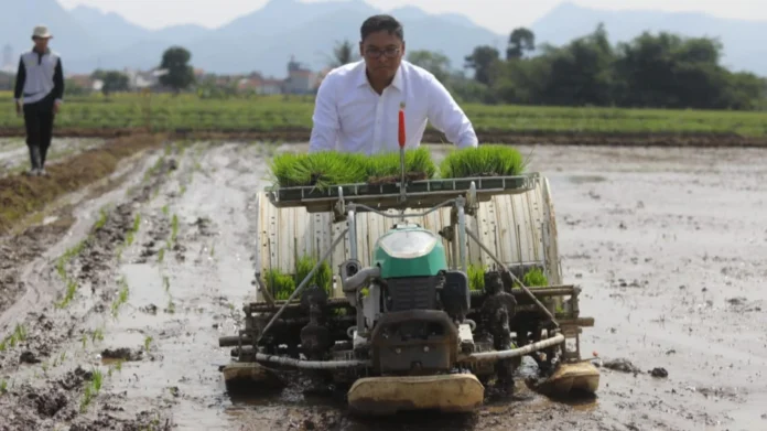Cetak Sawah Solusi Kebutuhan Pangan Nasional
