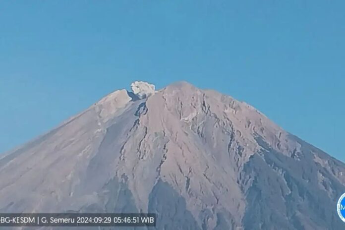 hzqixf4jmw3wqce Gunung Semeru Kembali Erupsi