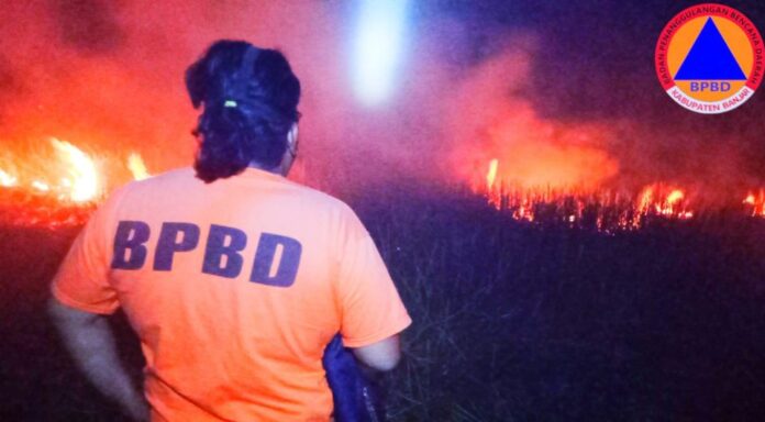 semak belukar di Desa Sungai Sipai terbakar