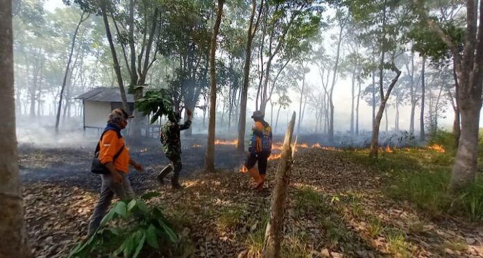 tak jauh dari makam datu bagul makam Datu Bagul