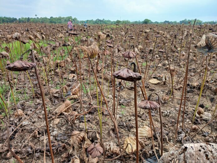 WhatsApp Image 2024-10-18 at 10.20.51