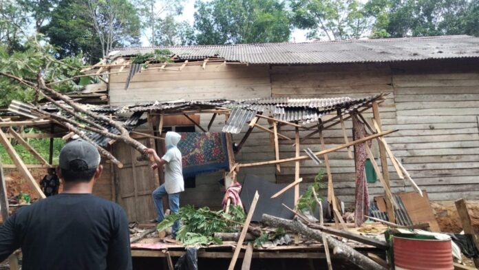 kerusakan rumah sejumlah warga Desa Batu Tanam akibat angin kecang Desa Batu Tanam
