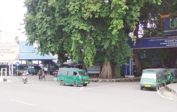 feeder angkutan umum