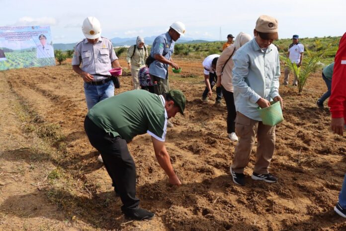 Pemprov Kalsel Dukung Swasembada Pangan Dengan Pengembangan Lahan Perkebunan 