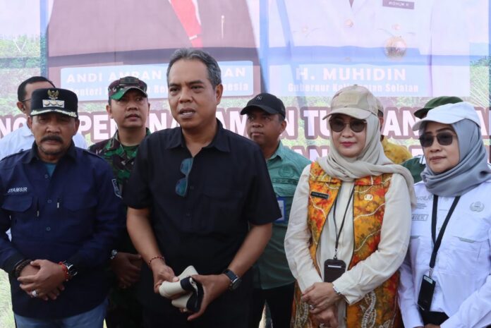 Tumpang Sari Padi Gogo di Lahan Sawit Bentuk Mendukung Swasembada Pangan