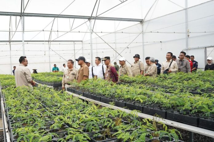 Persemaian Liang Anggang