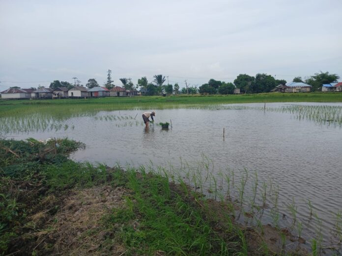 terdesak kawasan permukiman