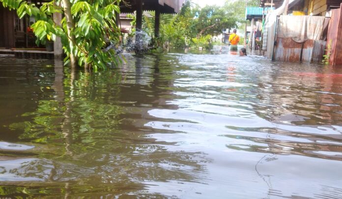 terdampak banjir