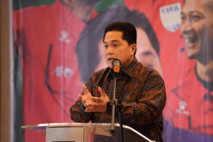 Ketum PSSI Erick Thohir usai naturalisasi emil disetujui proses naturalisasi