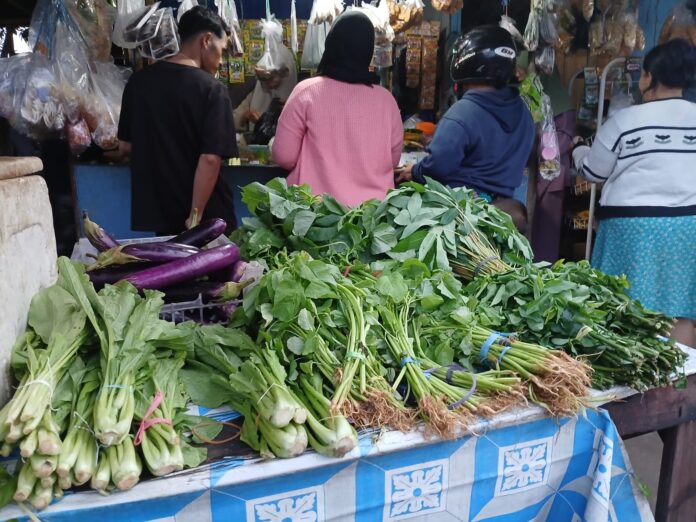 harga sayur mayur sayur mayur