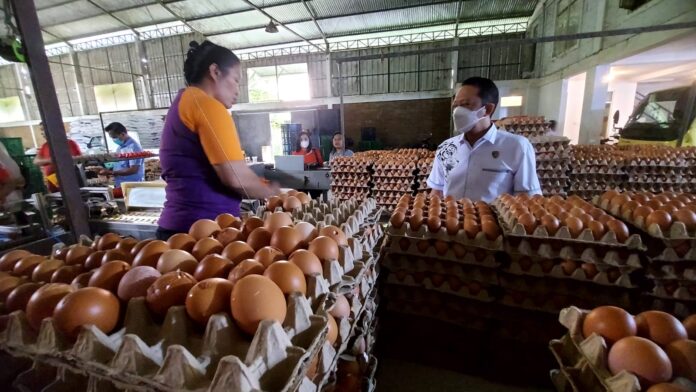 WhatsApp_Image_2025-03-25_at_17_13_12 Produksi Telur Nasional Melimpah, Harga Stabil