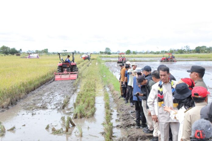 Mentan RI Tinjau Panen Raya Padi di Desa Maluka Baulin Kurau