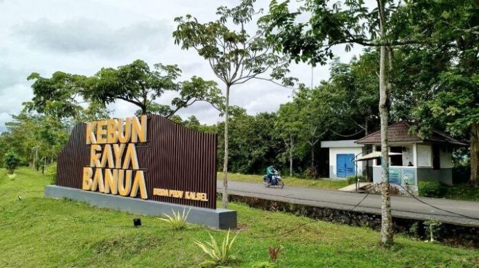 kebun raya banua kembali Beroperasi kembali Beroperasi