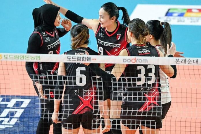 Red Sparks Sukses Comeback Lawan Pink Spiders