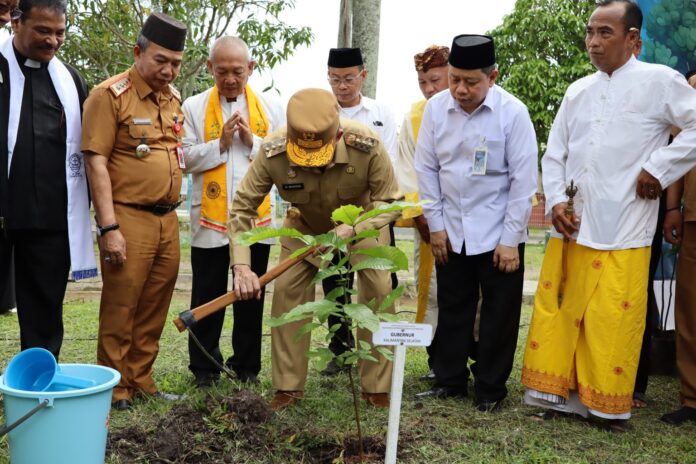 gubernur menanam pohon matoa