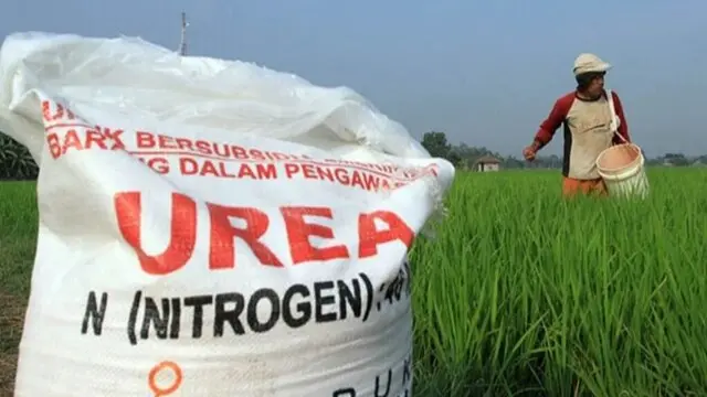 image Jelang Musim Tanam, Kementan Pastikan Tak Ada Lagi Pupuk Telat