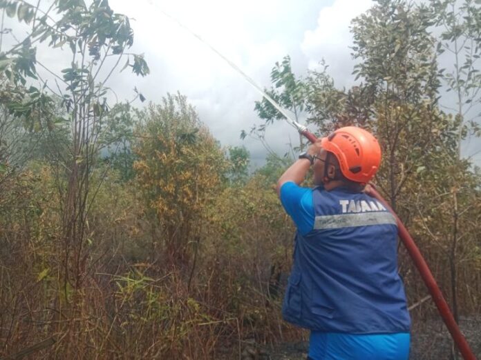3b7eb5ba-2ddf-420c-b41c-23589a0196f1-768x576 Hadapi Musim Kemarau, Pemprov Kalsel Telah Siapkan Berbagai Antisipasi