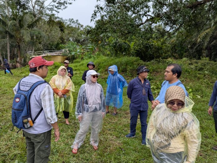 Dishut Kalsel akan tanam mangrove di Desa Sebuhur, Tanah Laut