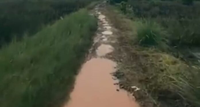 jalan Desa Pemurus memprihatinkan