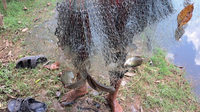 turun ke sungai ikan turun ke sungai