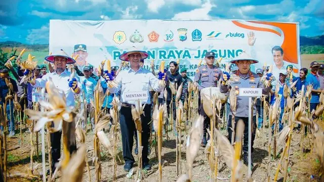 image Mentan: Petani Jagung Dapat Dukungan 5 Triliun dari Presiden