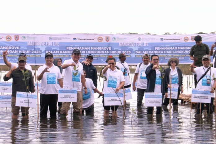 Klh lakukan penanaman mangrove di sebuhur