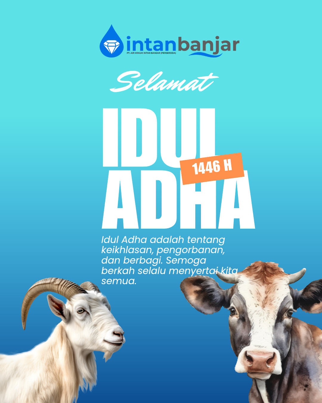 spot_img