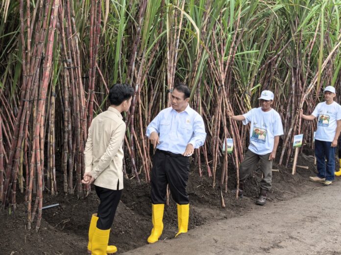 Mentan: Pemerintah Komitmen Percepat Swasembada Gula