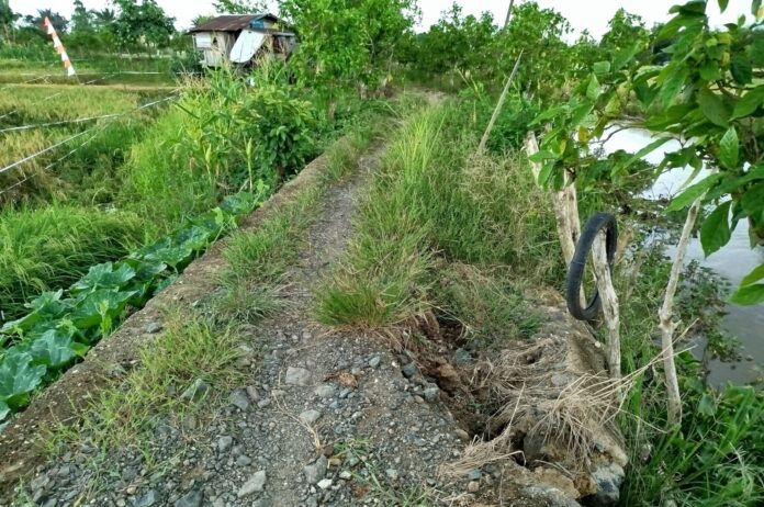 jalan tani desa labuan tabu jalan tani