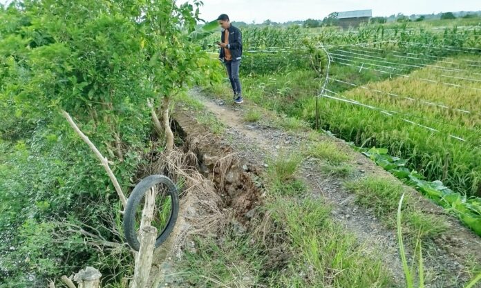 proyek rekonstruksi jalan tani rekonstruksi jalan tani