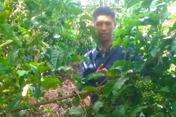 Koperasi Sahabat Membangun Negeri