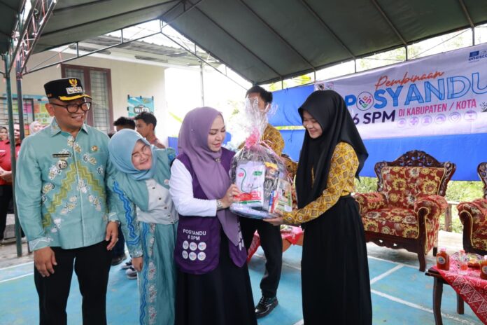 Ketua TP Posyandu Kalsel Terus Gaungkan Penguatan Posyandu 6 SPM