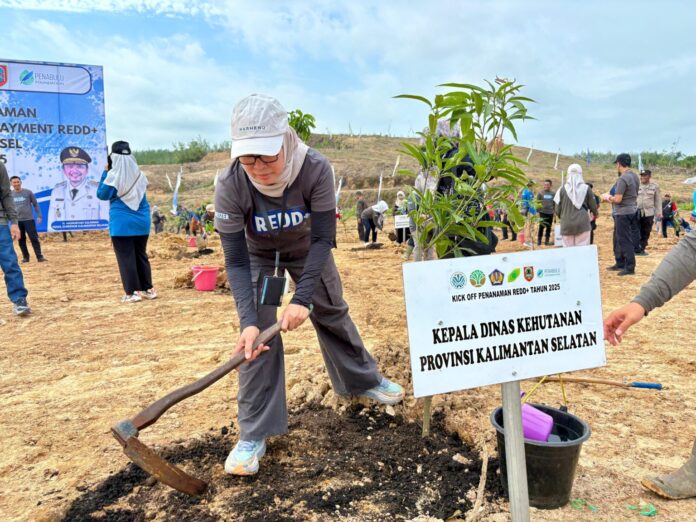 Pemprov Kalsel Mulai Program Penanaman Pohon RBP REDD+ GCF di Cempaka