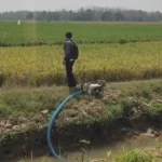 Kementan Perkuat Mitigasi Hadapi Potensi El Nino Mulai April El Nino